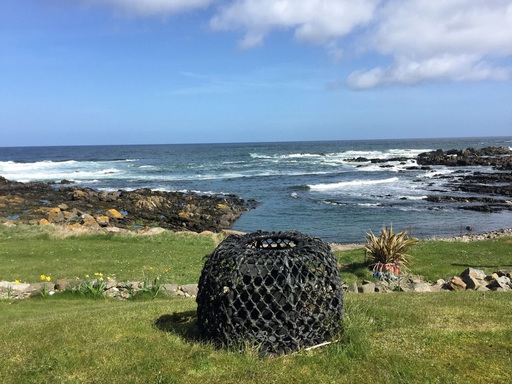 Pew With A View - Seafront Cottages Rosehearty Exteriör bild