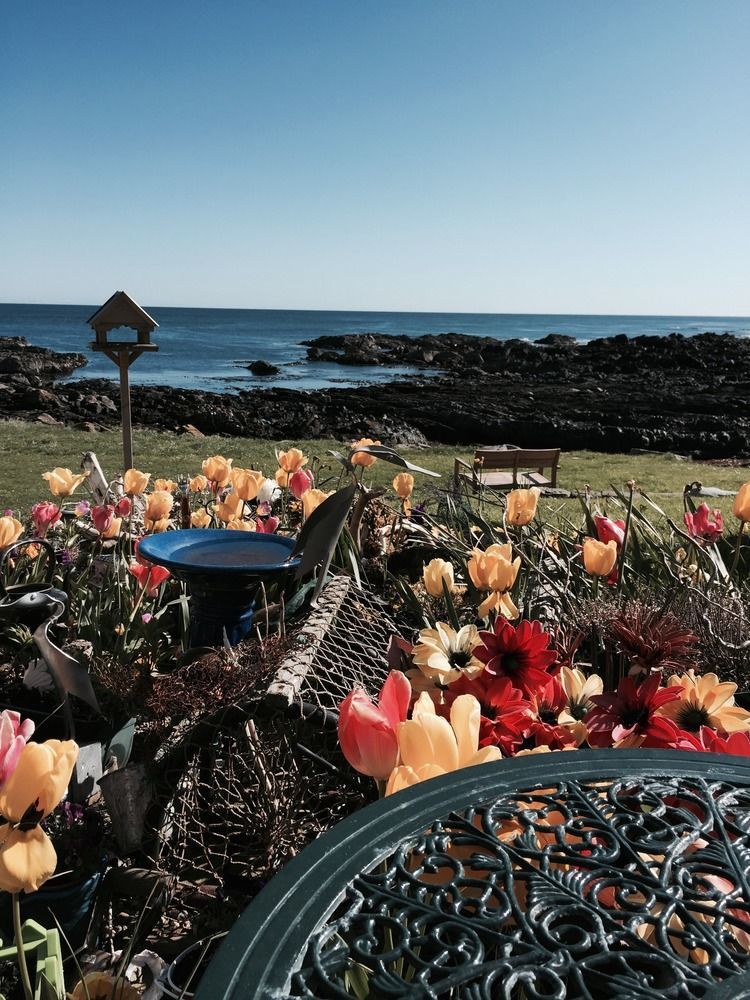 Pew With A View - Seafront Cottages Rosehearty Exteriör bild