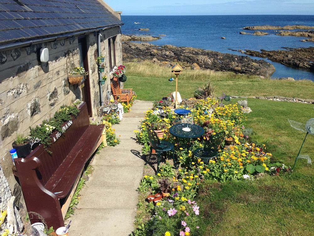 Pew With A View - Seafront Cottages Rosehearty Exteriör bild