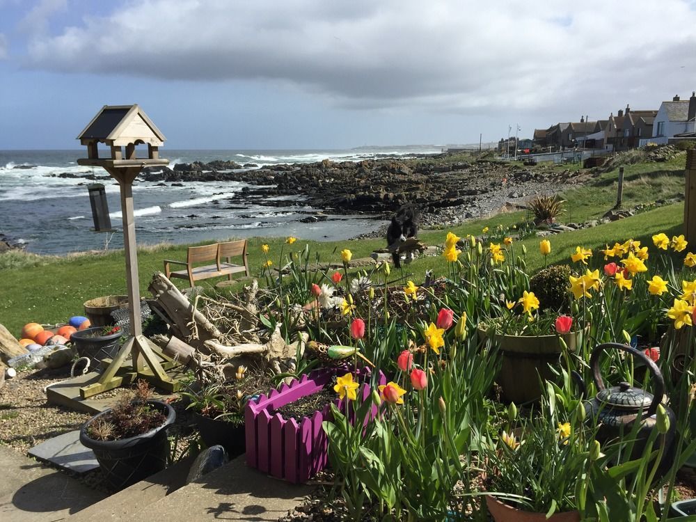 Pew With A View - Seafront Cottages Rosehearty Exteriör bild